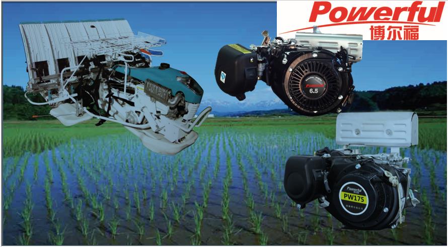 Powerful Transplant Gasoline Engine PW200